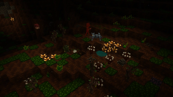 Cave