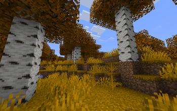 Autumn Forest V1.0.0 | No Shaders