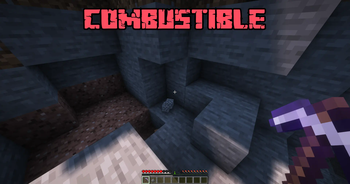 Combustible