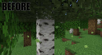 Before Using The Texture Pack