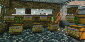 Shop example