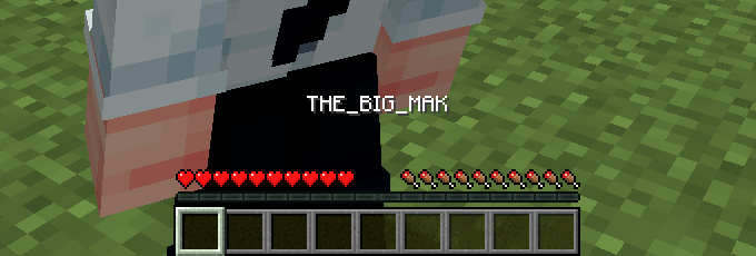 Nickname over the hotbar