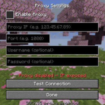 proxy