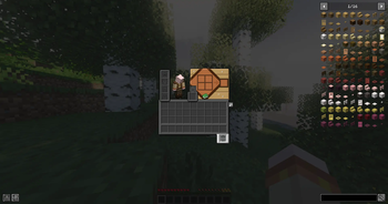 Without resource pack