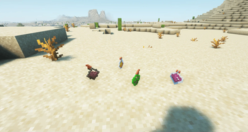 Beautiful Potions