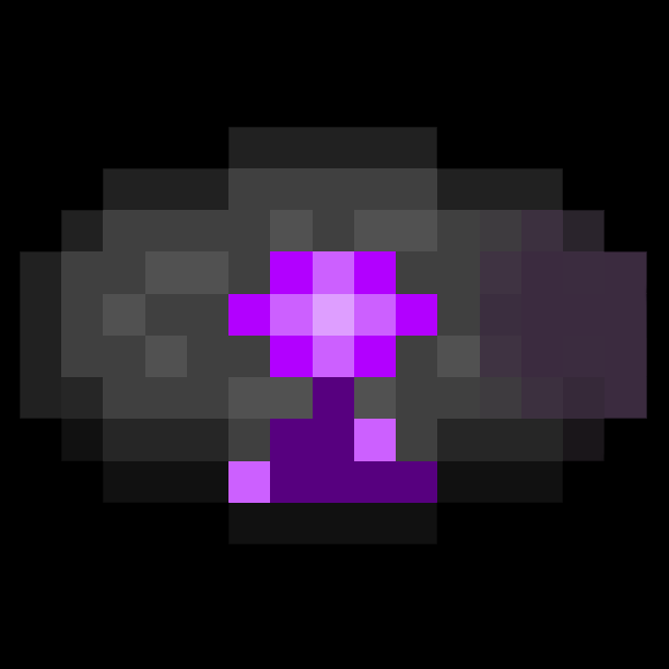 the disc
