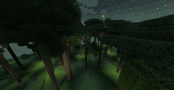 Dense Twilight Forest