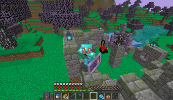 Preparing the Ritual