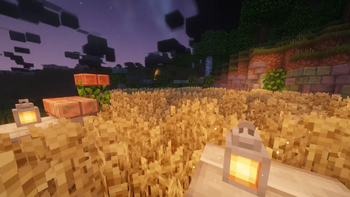 Farm