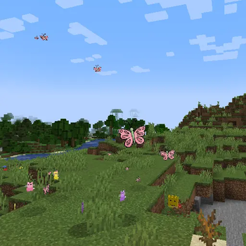 butterflies