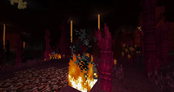 Our nether has more!