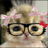 NeDollManB
