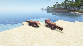 Otters!