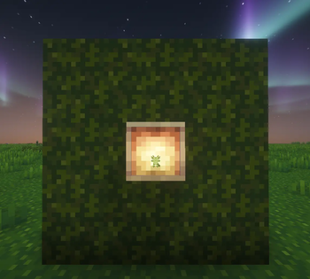 Totem