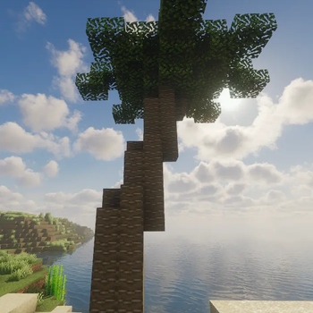 Palm tree