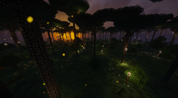 Twilight Forest