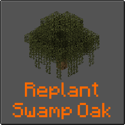 Replant Swamp Oak