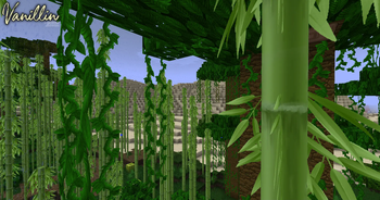 Bamboo Jungle