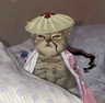 shinoju
