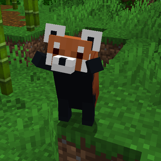 YDM's Red Panda