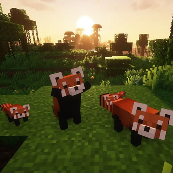 with shader
