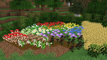 flower field