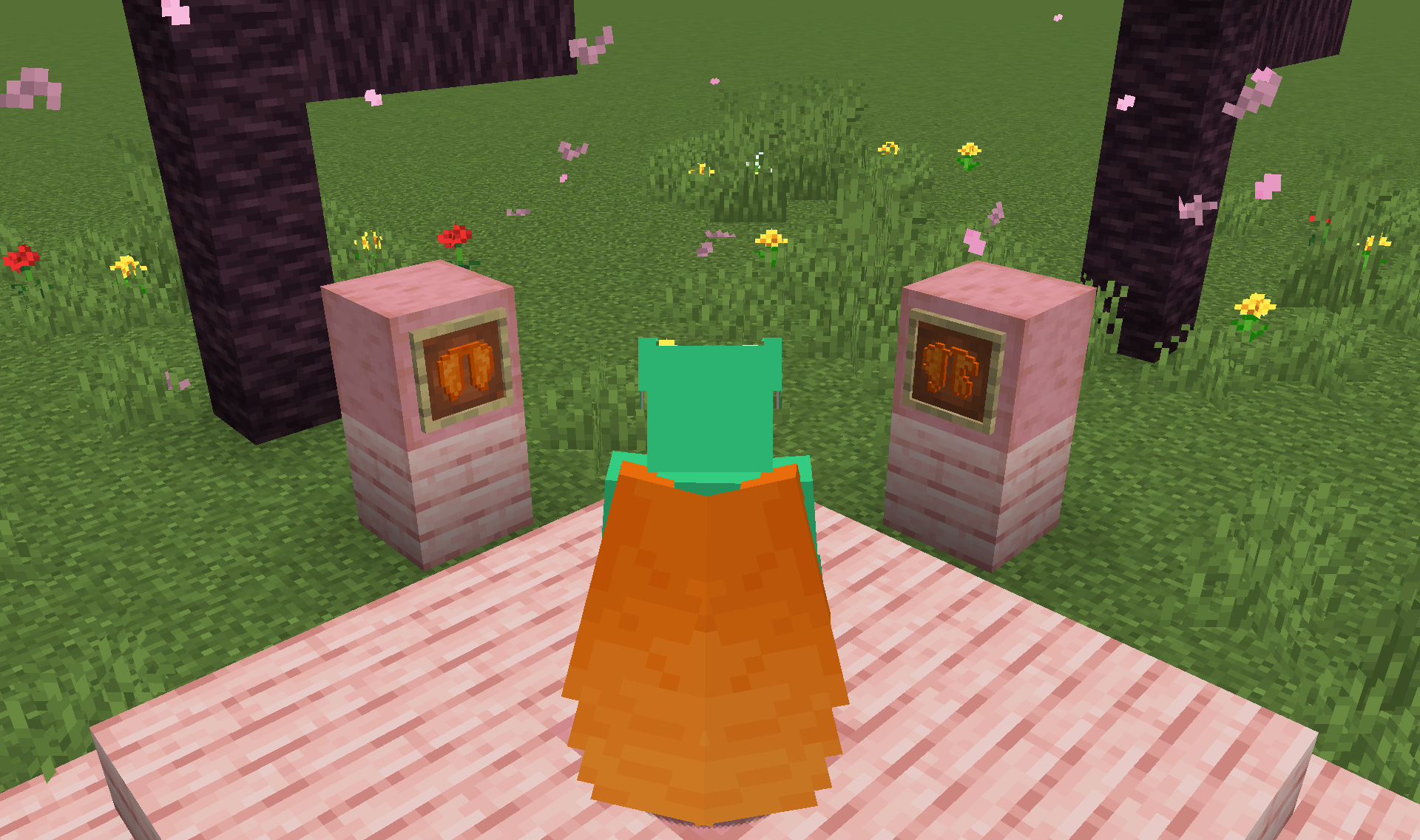 Screenshot demonstrating Resource Pack