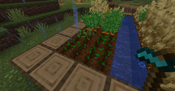 Enhanced Farming