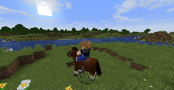 Horse Tweaks