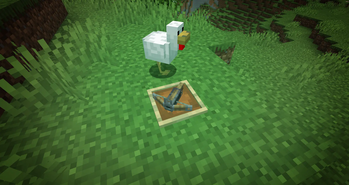 item frame