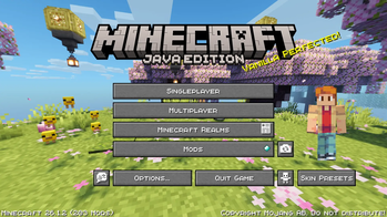 Custom Panorama