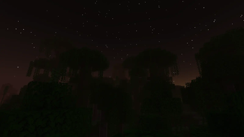 night sky.