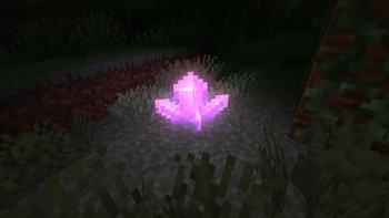 colored lighting.
