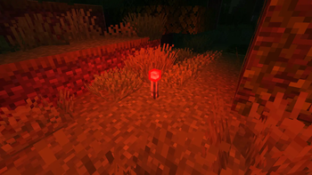 colored lighting.