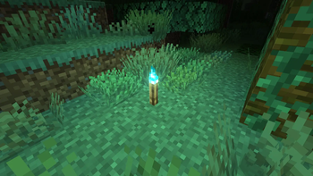 colored lighting.