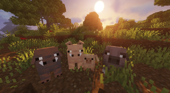 Cute Remodeled Pigs + Babies! — screenshot 2
