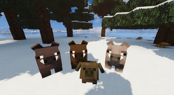 Cute Remodeled Pigs + Babies! — screenshot 3