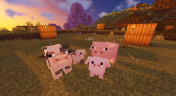 Cute Remodeled Pigs + Babies! — screenshot 1