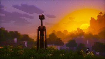 Kenny at Sunset