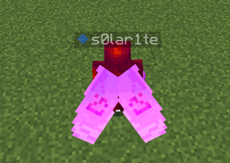 open elytra