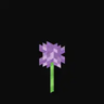 Flower Mimics