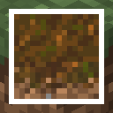 Lower Podzol
