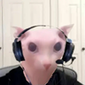 Lekni