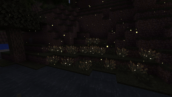 Firefly bushes with the pack on