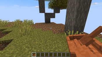 Acacia Boat First Person