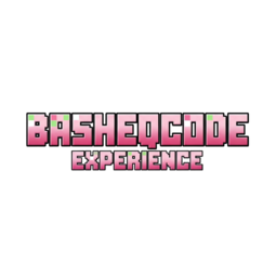 BasheqCode Experince