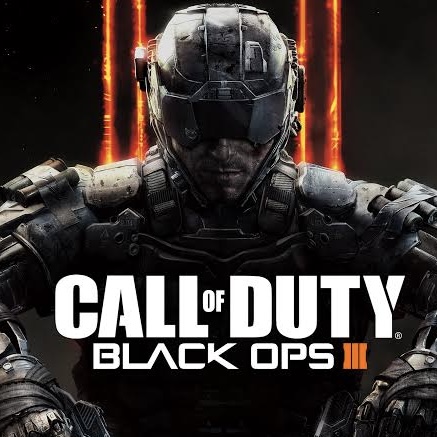 Call Of Duty in MC