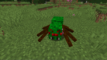 Forest Spider