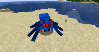 Water Spider