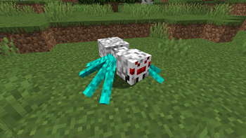 Arctic Spider